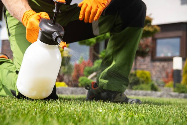 Best Local Pest Control Services  in Gibbstown, NJ