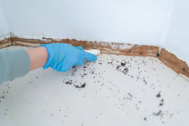 Best Residential Pest Control  in Gibbstown, NJ